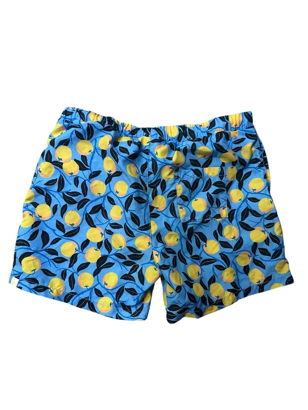 Summersalt Lemon Swim Shorts Size‎ Large 14-16